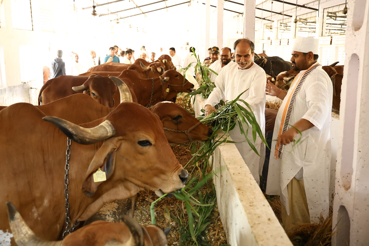 Gau Seva